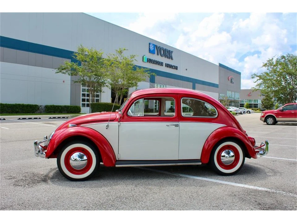 1964 Volkswagen Beetle (1958-1979) - Image 8 of 31