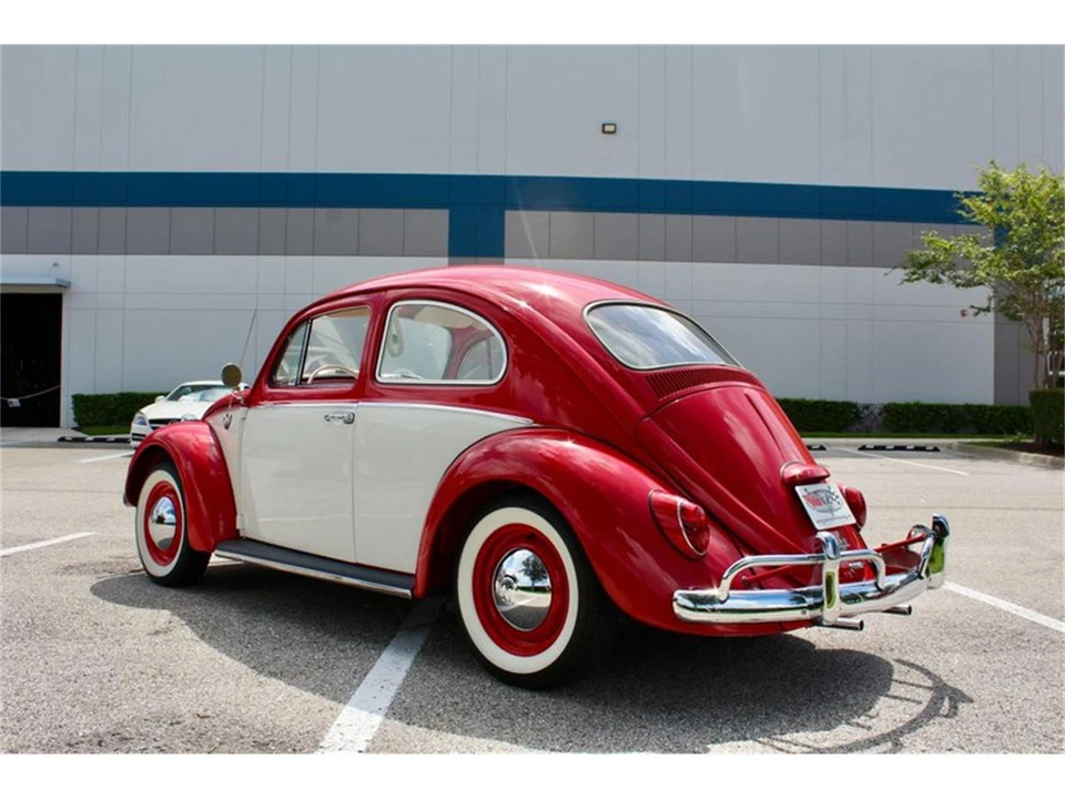 1964 Volkswagen Beetle (1958-1979) - Image 10 of 31