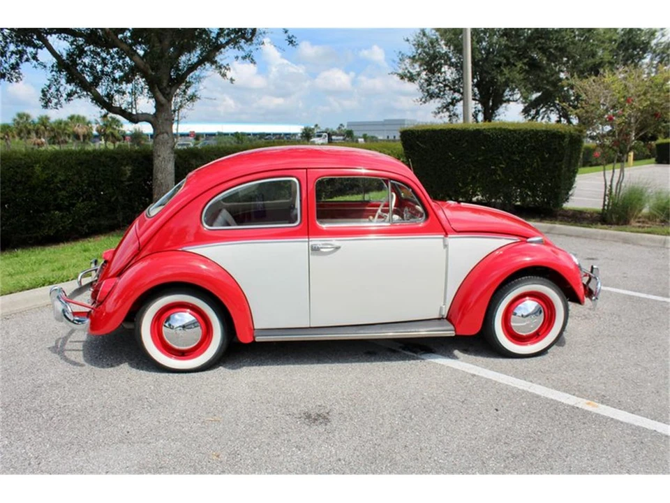 1964 Volkswagen Beetle (1958-1979) - Image 16 of 31
