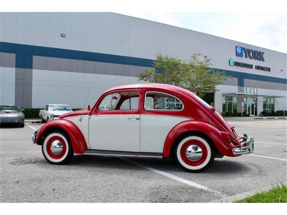 1964 Volkswagen Beetle (1958-1979) - Image 9 of 31