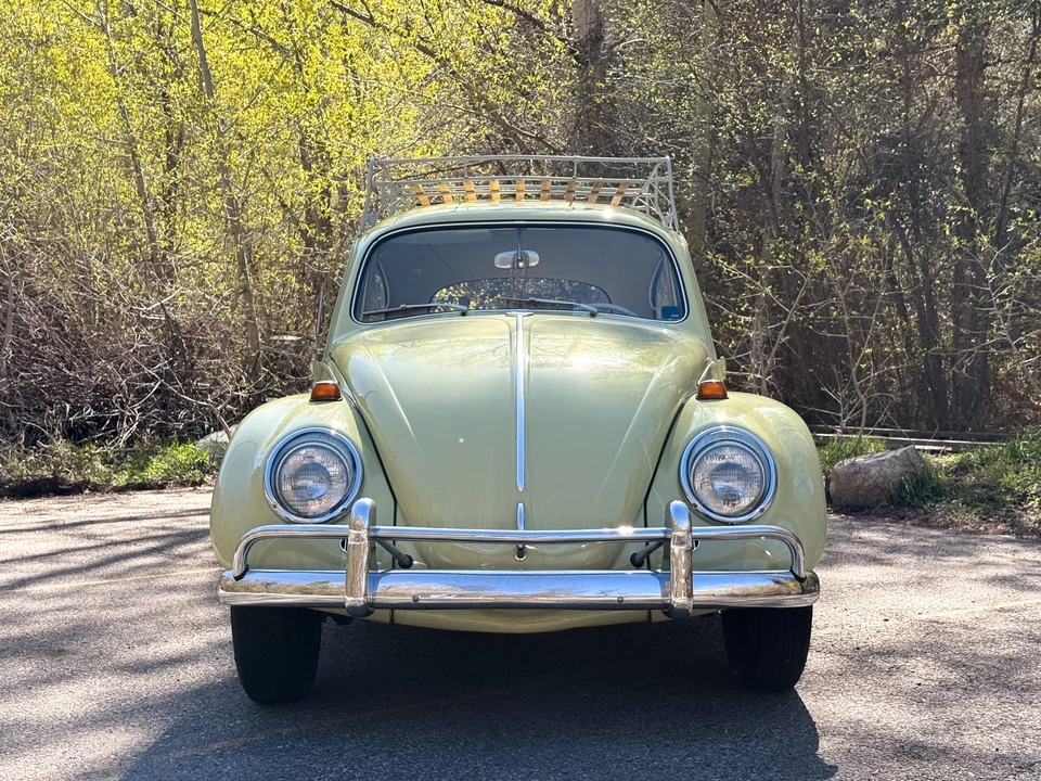 1964 Volkswagen Beetle (1958-1979) - Image 2 of 31