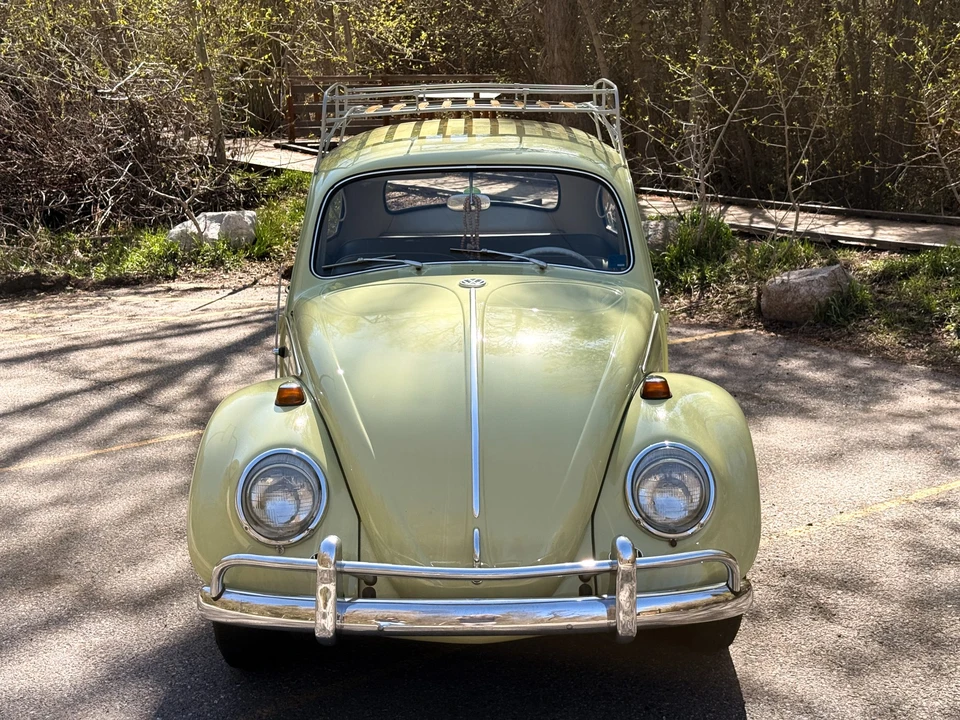 1964 Volkswagen Beetle (1958-1979) - Image 15 of 31