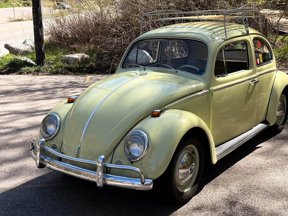 1964 Volkswagen Beetle (1958-1979) - Image 3 of 31