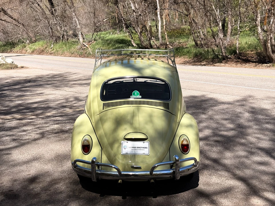 1964 Volkswagen Beetle (1958-1979) - Image 6 of 31