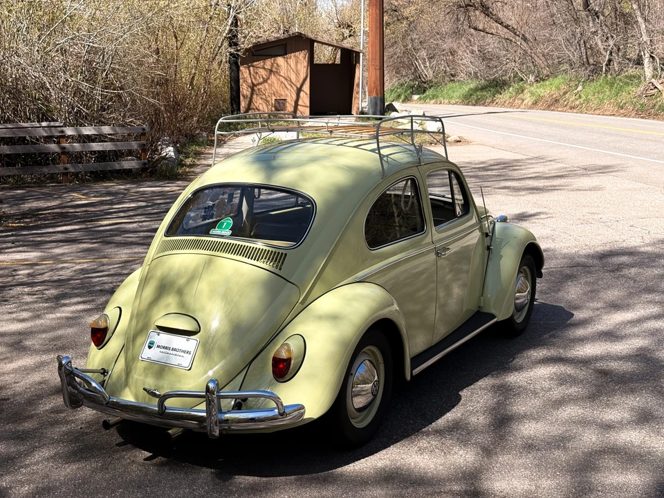 1964 Volkswagen Beetle (1958-1979) - Image 10 of 31