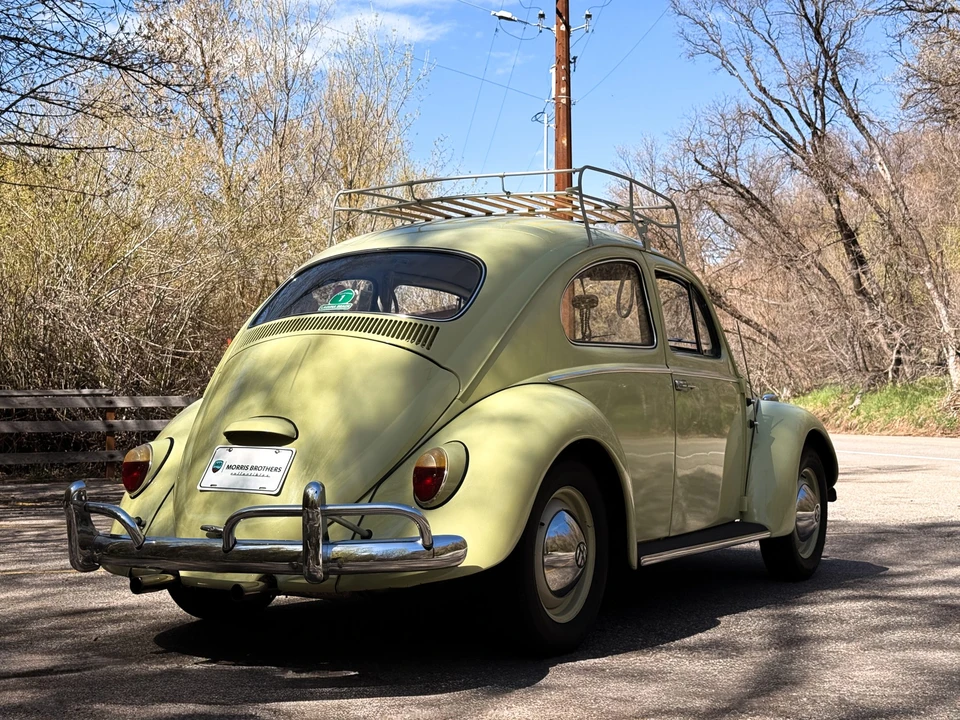 1964 Volkswagen Beetle (1958-1979) - Image 11 of 31