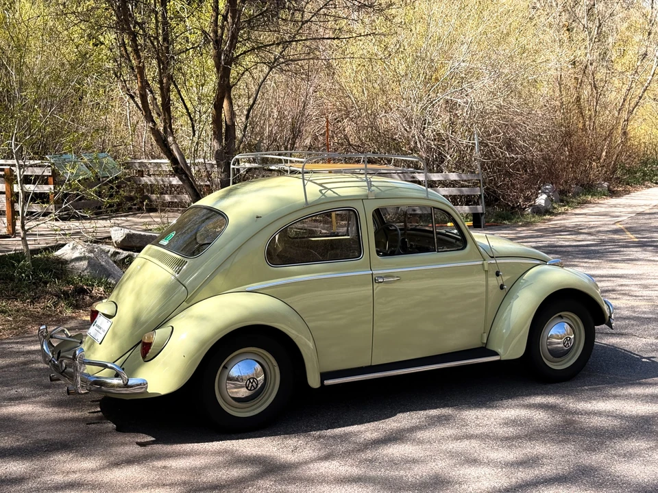 1964 Volkswagen Beetle (1958-1979) - Image 12 of 31