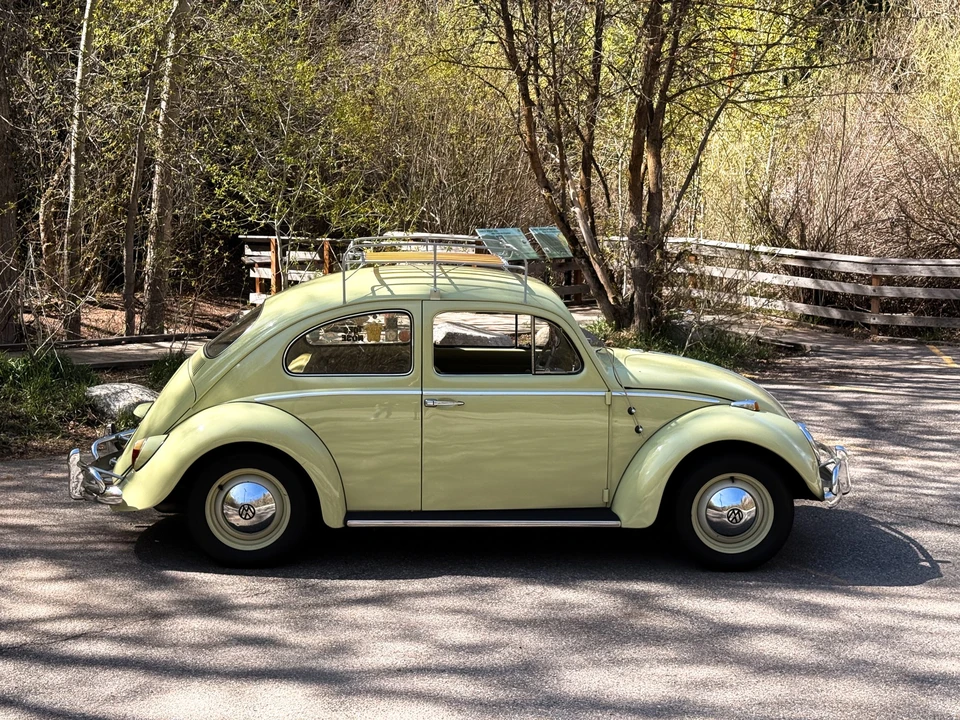 1964 Volkswagen Beetle (1958-1979) - Image 14 of 31