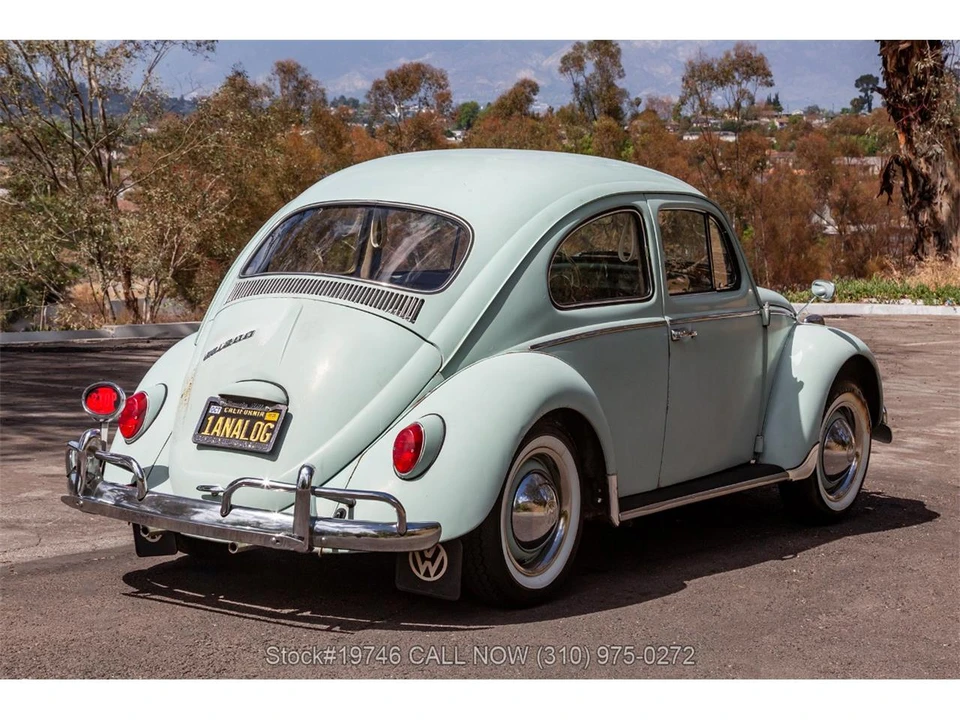 1964 Volkswagen Beetle (1958-1979) - Image 5 of 31