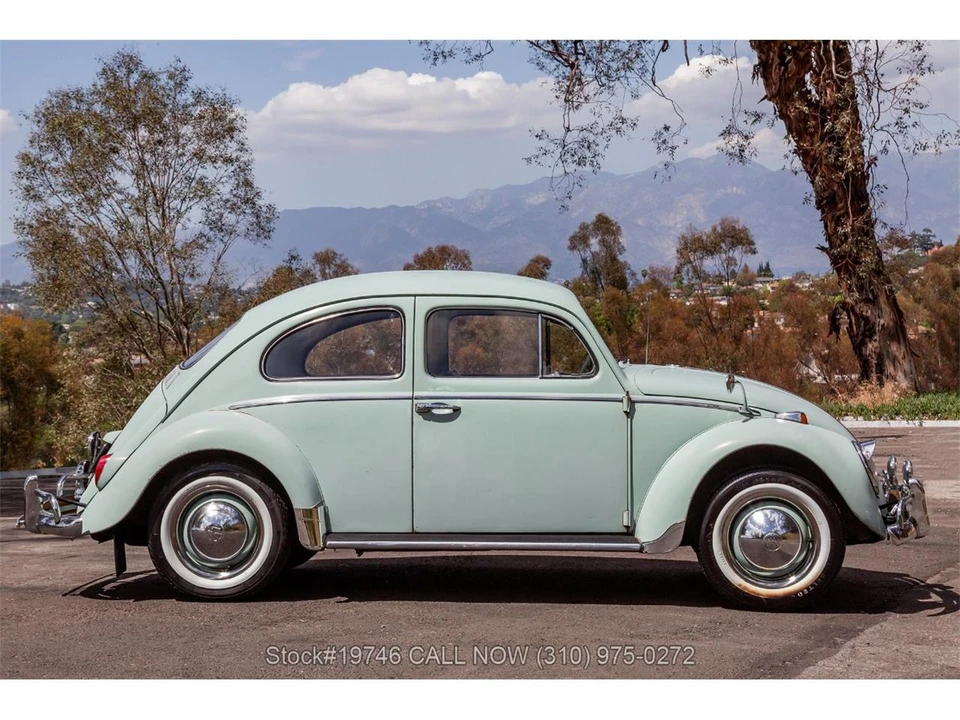 1964 Volkswagen Beetle (1958-1979) - Image 4 of 31