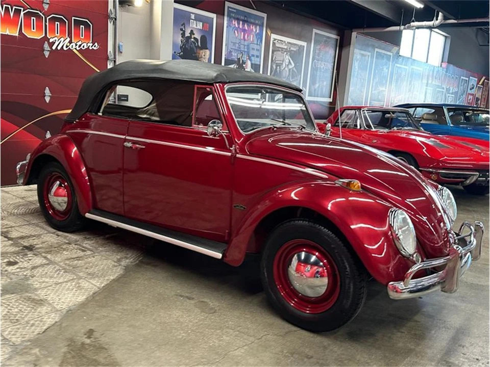 1964 Volkswagen Beetle (1958-1979) - Image 13 of 31