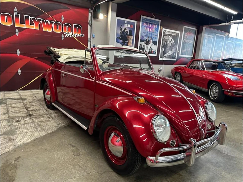 1964 Volkswagen Beetle (1958-1979) - Image 31 of 31