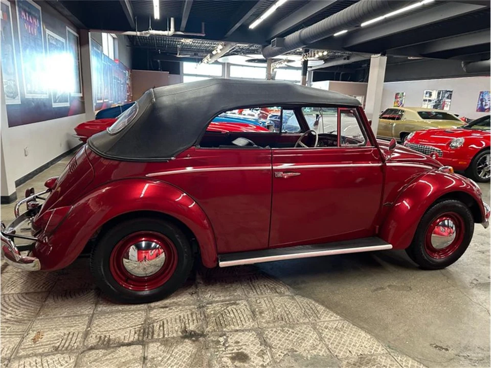 1964 Volkswagen Beetle (1958-1979) - Image 17 of 31