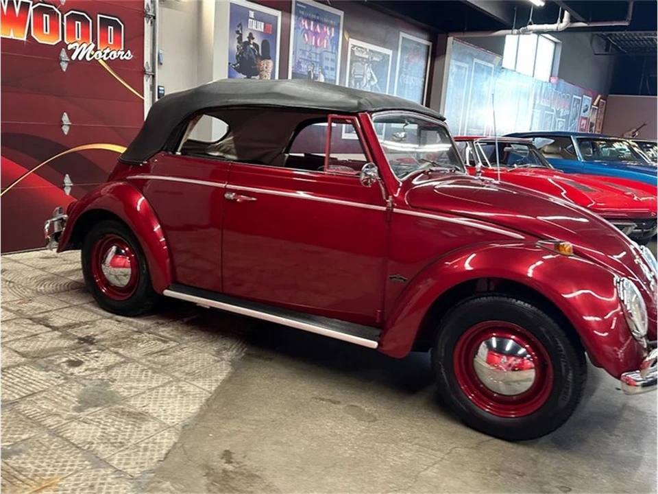 1964 Volkswagen Beetle (1958-1979) - Image 14 of 31