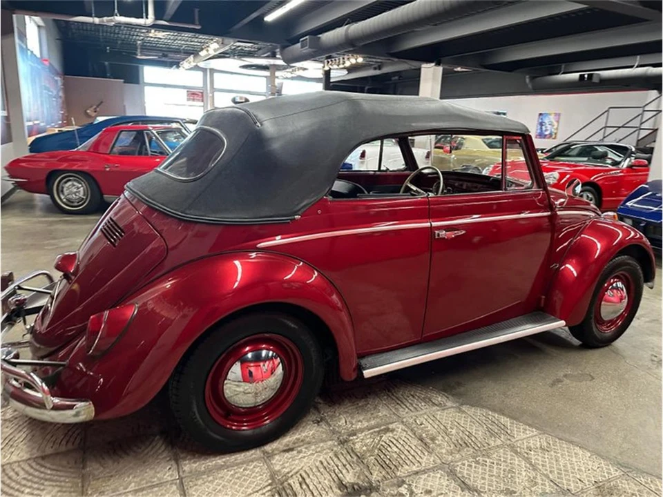 1964 Volkswagen Beetle (1958-1979) - Image 18 of 31
