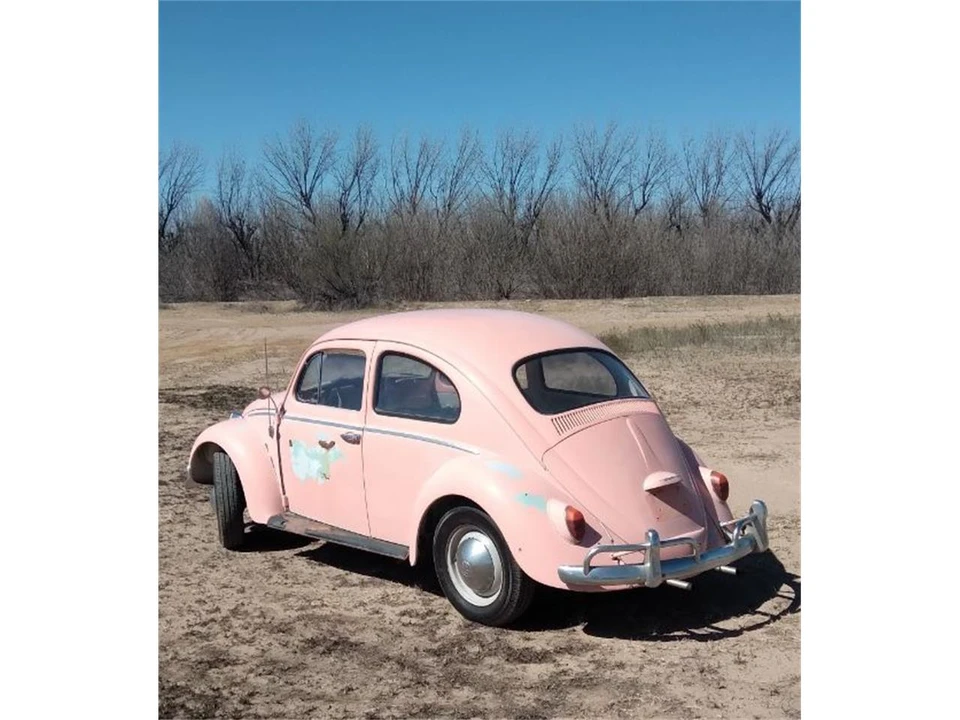 1964 Volkswagen Beetle (1958-1979) - Image 2 of 9