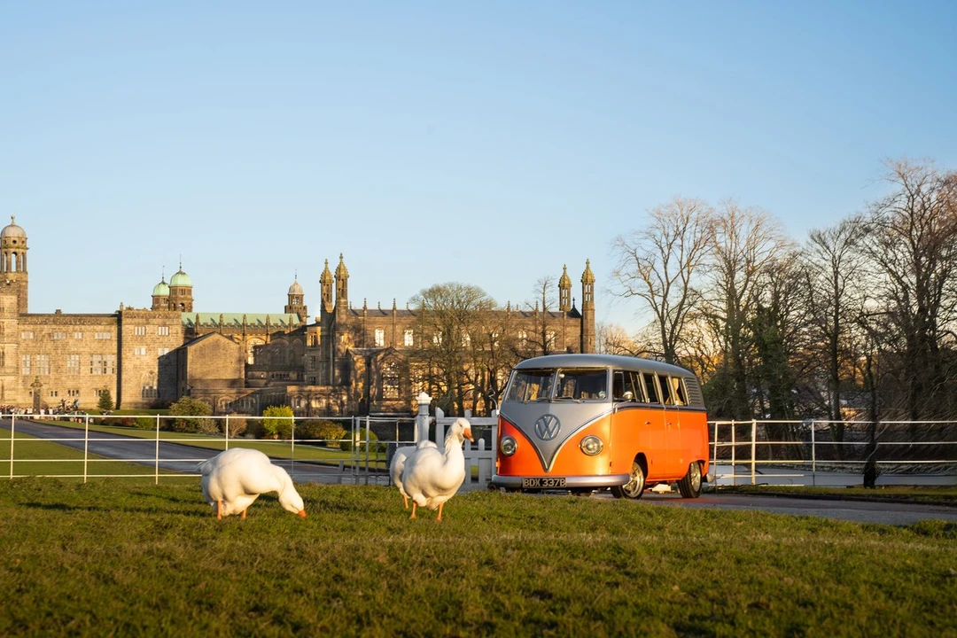1964 Volkswagen Split-Window Bus - Image 10 of 30