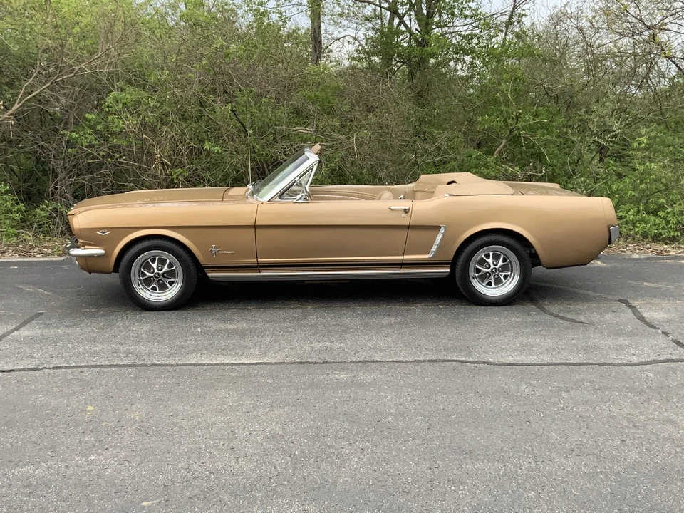 1964 Ford Mustang 1st Gen (1964.5-1966) - Image 16 of 31