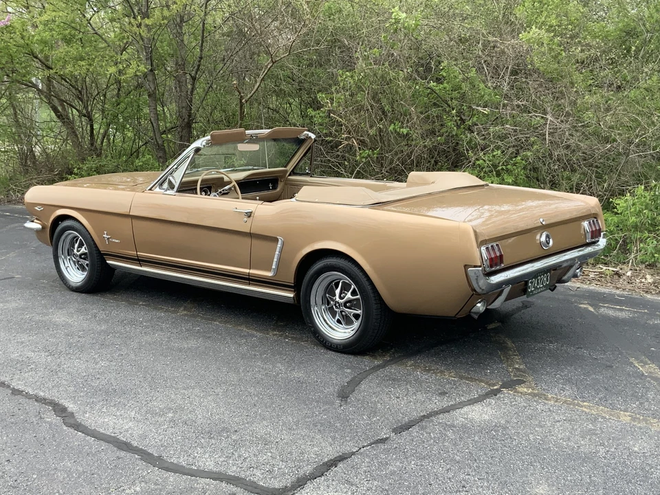 1964 Ford Mustang 1st Gen (1964.5-1966) - Image 17 of 31