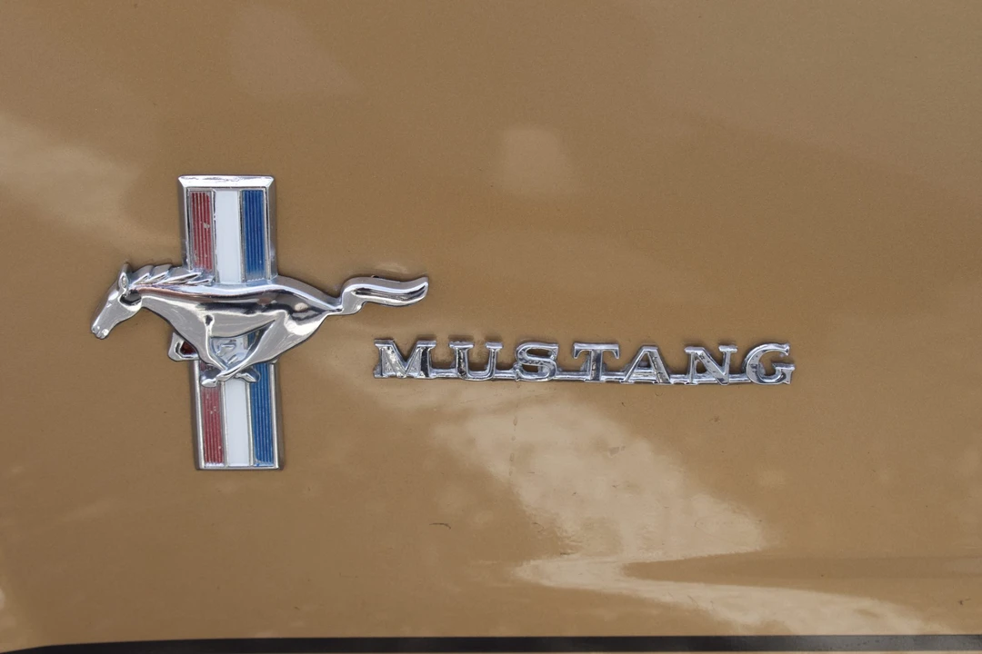 1964 Ford Mustang 1st Gen (1964.5-1966) - Image 31 of 31