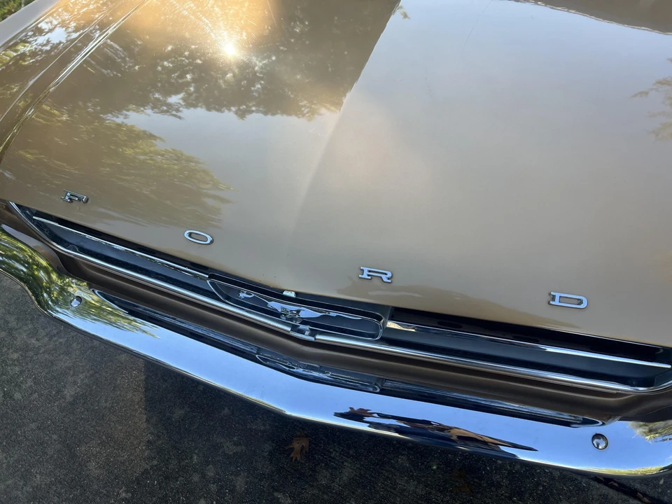 1964 Ford Mustang 1st Gen (1964.5-1966) - Image 31 of 31