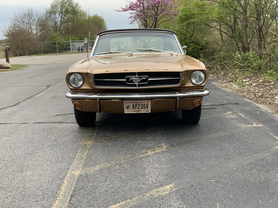1964 Ford Mustang 1st Gen (1964.5-1966) - Image 12 of 31