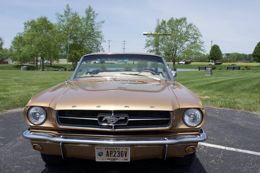 1964 Ford Mustang 1st Gen (1964.5-1966) - Image 20 of 31