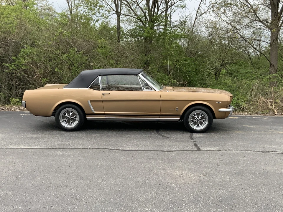 1964 Ford Mustang 1st Gen (1964.5-1966) - Image 8 of 31