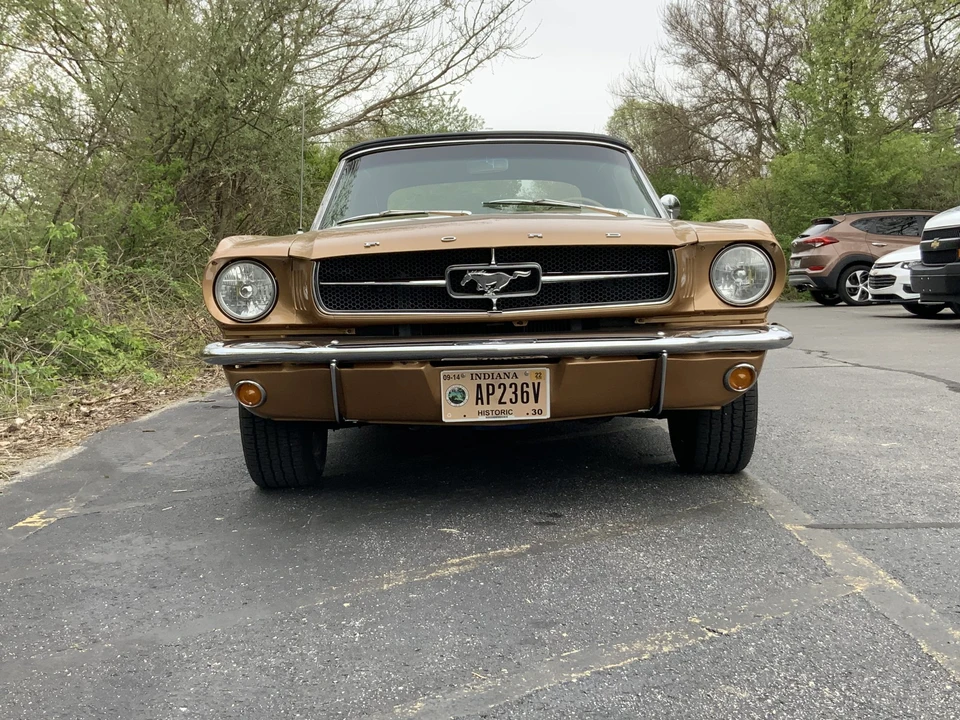 1964 Ford Mustang 1st Gen (1964.5-1966) - Image 13 of 31