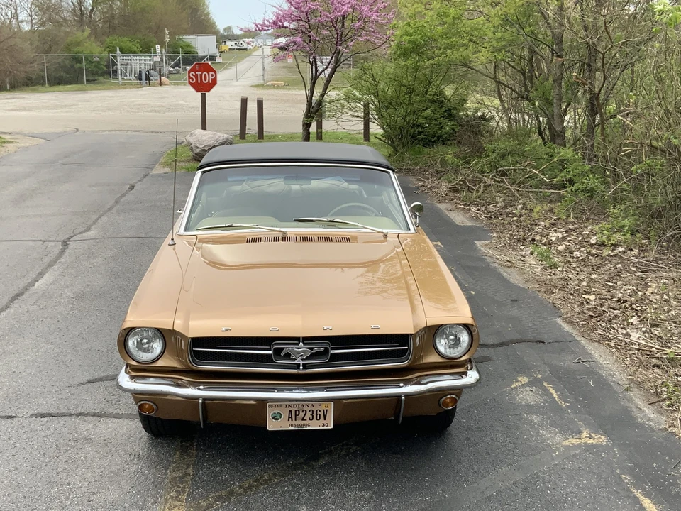 1964 Ford Mustang 1st Gen (1964.5-1966) - Image 2 of 31