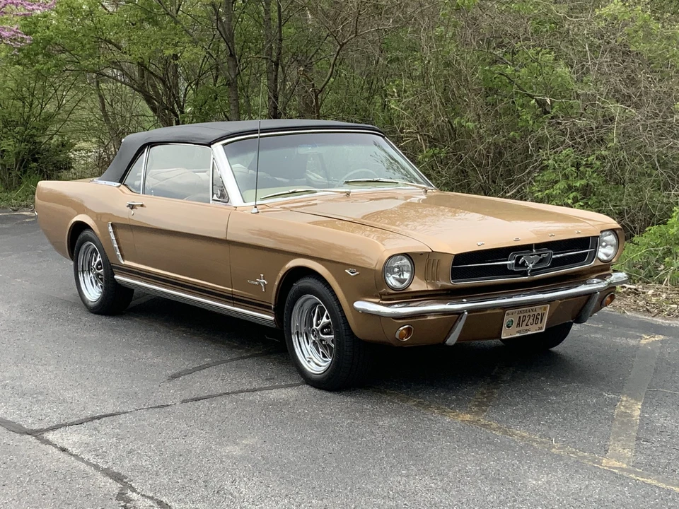 1964 Ford Mustang 1st Gen (1964.5-1966) - Image 11 of 31