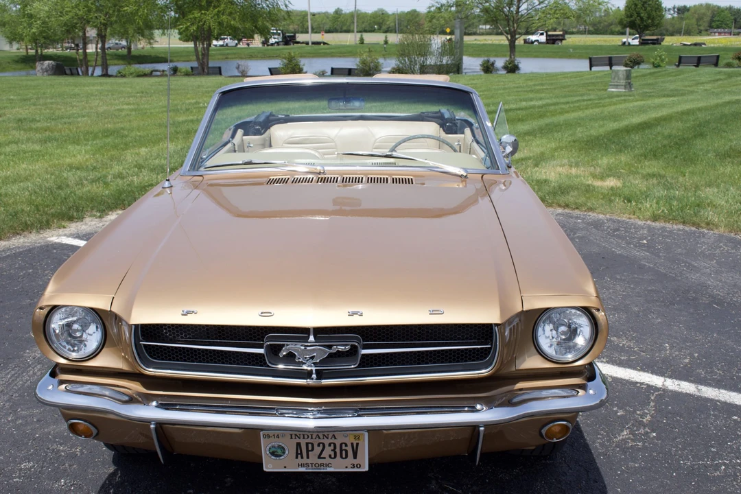 1964 Ford Mustang 1st Gen (1964.5-1966) - Image 15 of 31