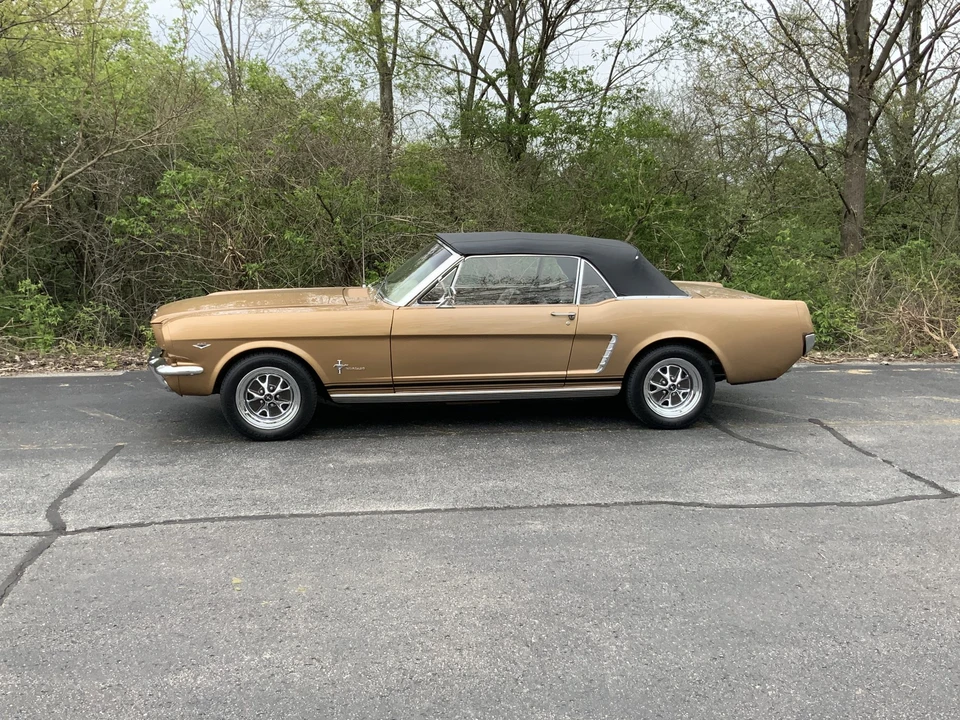 1964 Ford Mustang 1st Gen (1964.5-1966) - Image 4 of 31