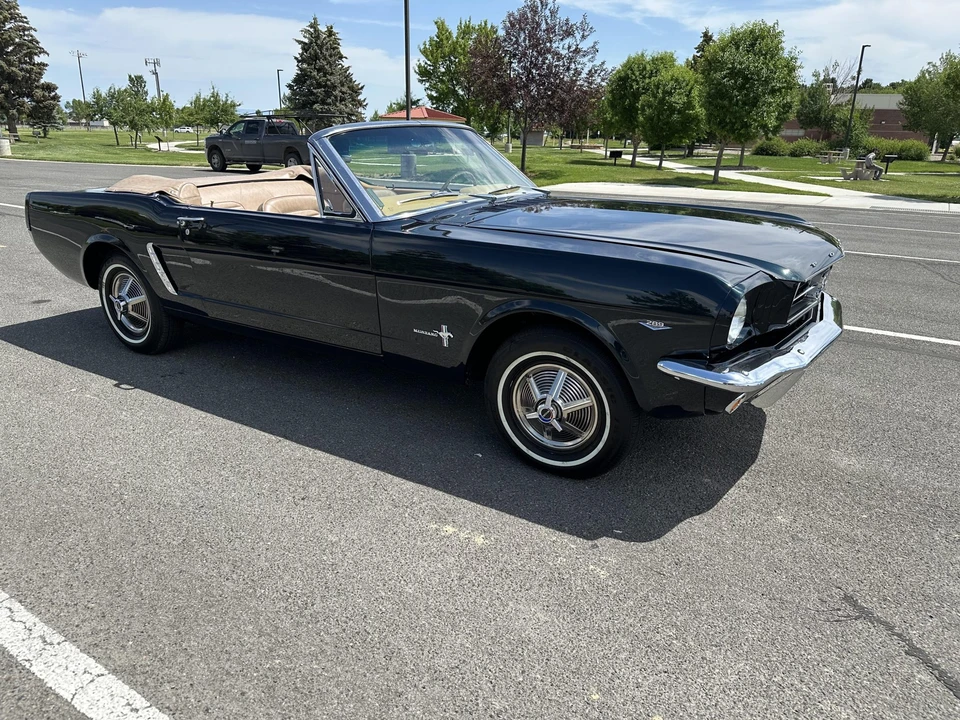 1964 Ford Mustang 1st Gen (1964.5-1966) - Image 19 of 31