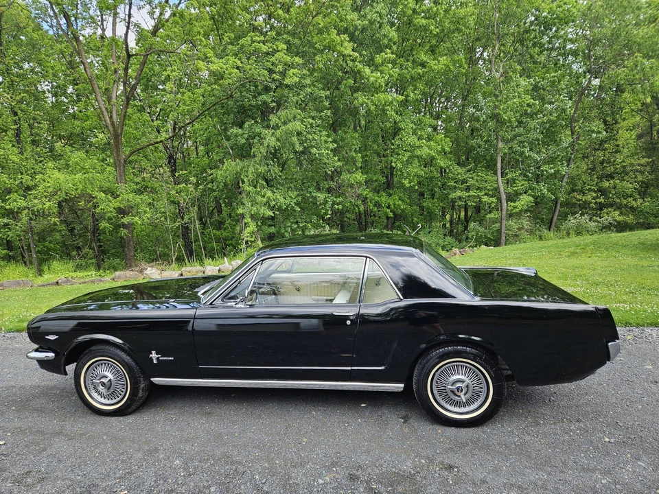 1964 Ford Mustang 1st Gen (1964.5-1966) - Image 15 of 31