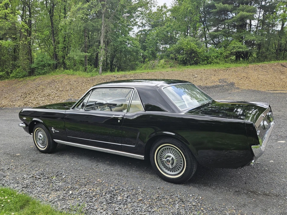 1964 Ford Mustang 1st Gen (1964.5-1966) - Image 14 of 31