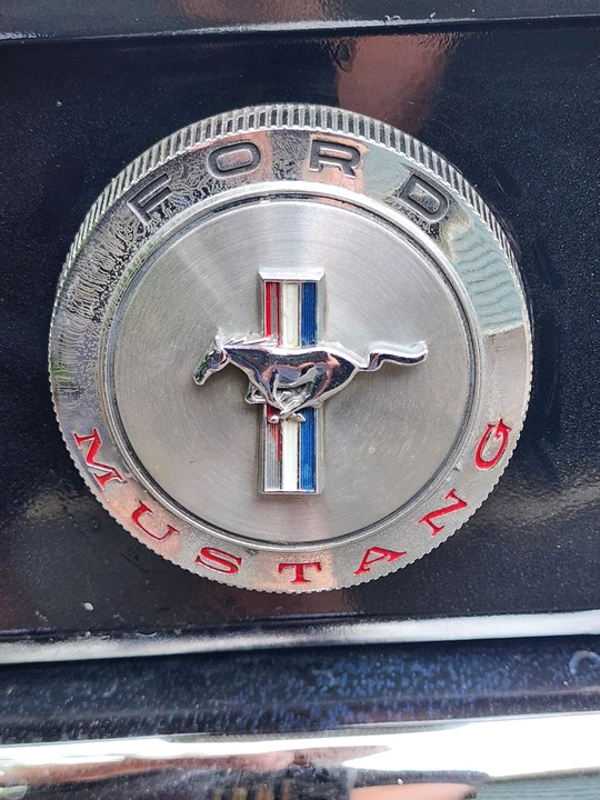 1964 Ford Mustang 1st Gen (1964.5-1966) - Image 25 of 31
