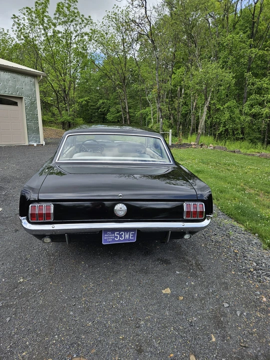 1964 Ford Mustang 1st Gen (1964.5-1966) - Image 9 of 31