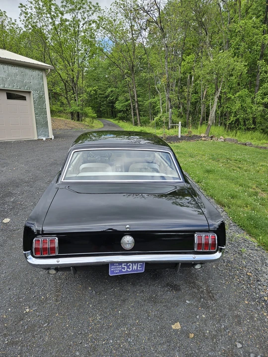 1964 Ford Mustang 1st Gen (1964.5-1966) - Image 10 of 31