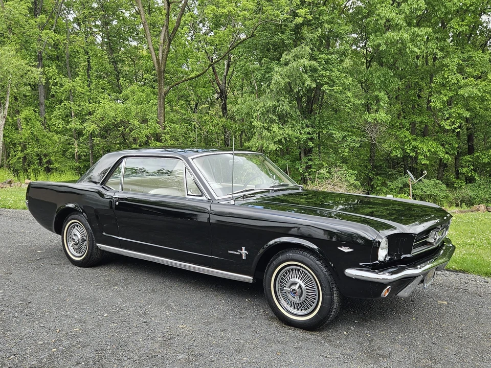 1964 Ford Mustang 1st Gen (1964.5-1966) - Image 6 of 31