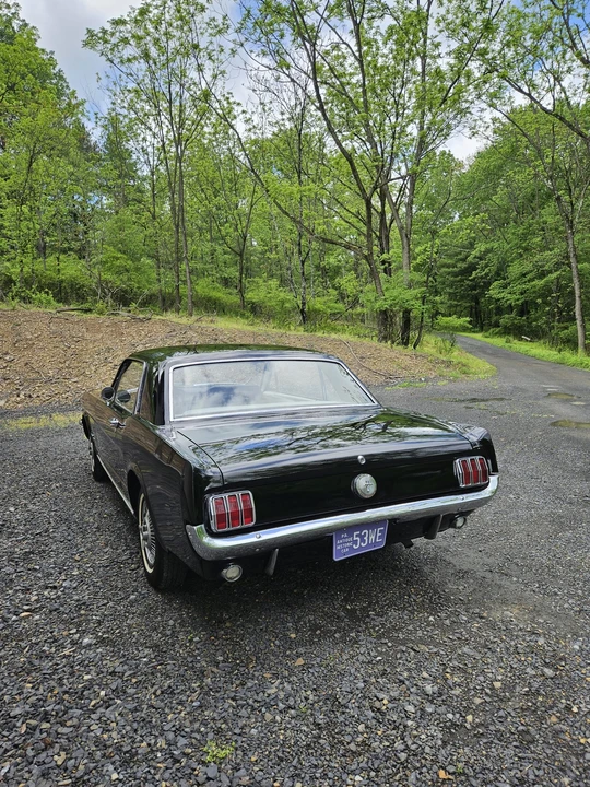 1964 Ford Mustang 1st Gen (1964.5-1966) - Image 11 of 31