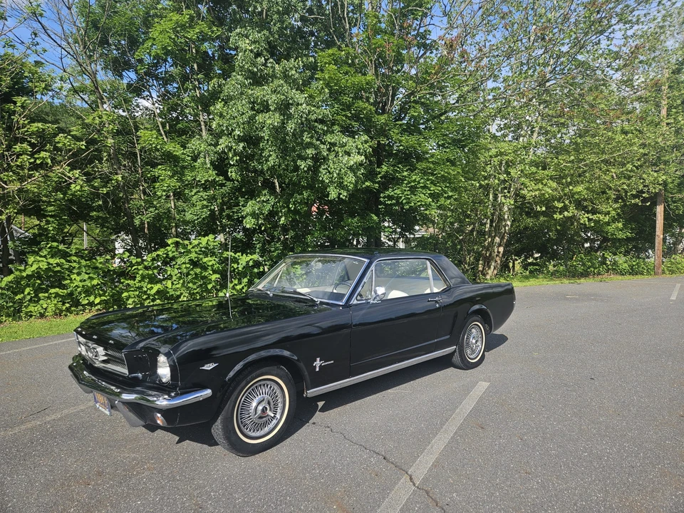 1964 Ford Mustang 1st Gen (1964.5-1966) - Image 16 of 31