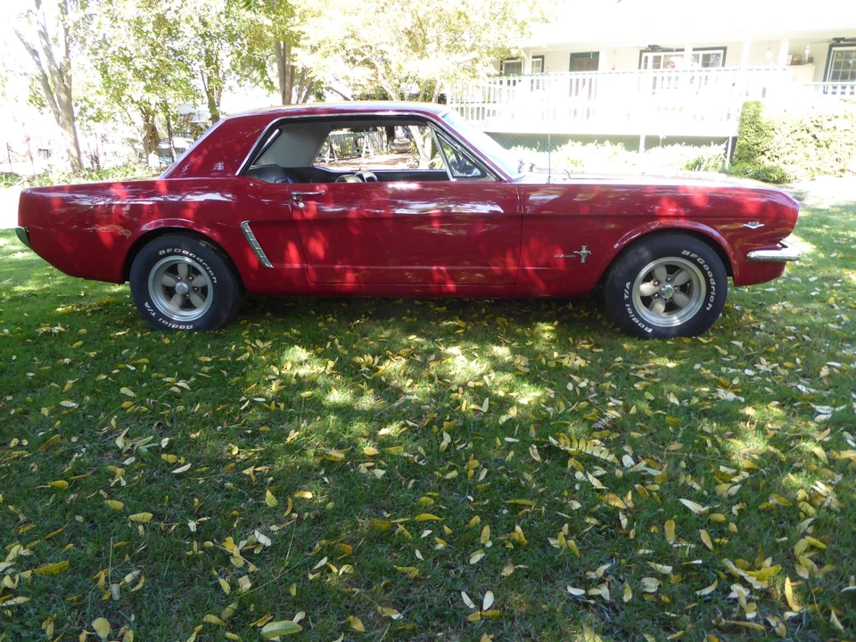 1964 Ford Mustang 1st Gen (1964.5-1966) - Image 13 of 31