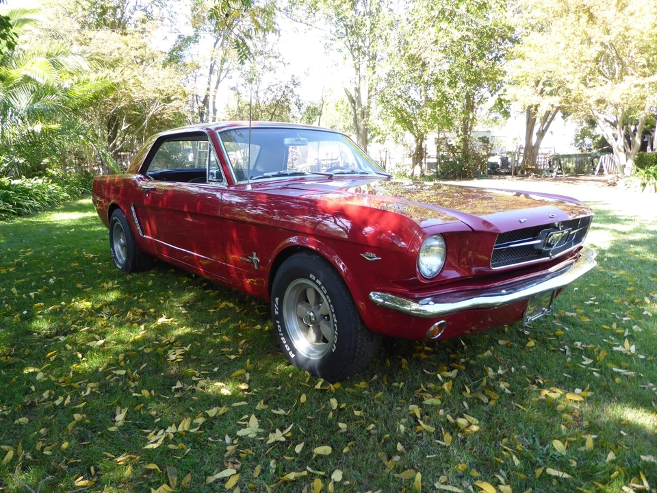 1964 Ford Mustang 1st Gen (1964.5-1966) - Image 14 of 31