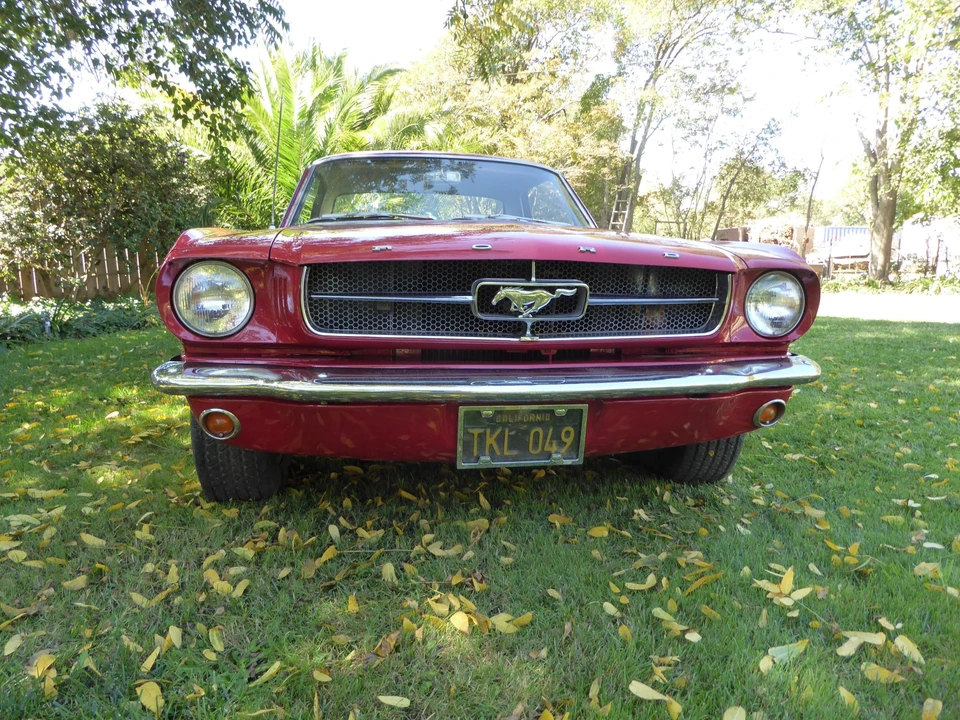 1964 Ford Mustang 1st Gen (1964.5-1966) - Image 16 of 31
