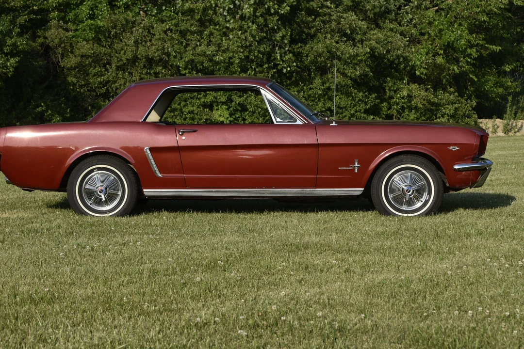 1964 Ford Mustang 1st Gen (1964.5-1966) - Image 2 of 31