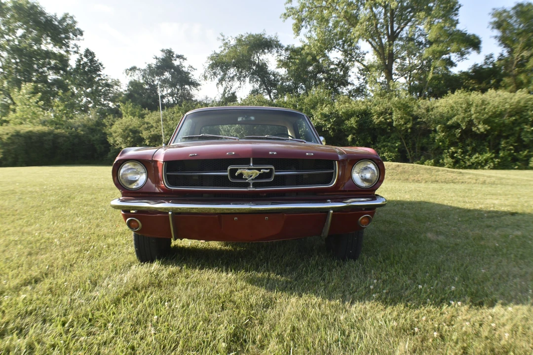 1964 Ford Mustang 1st Gen (1964.5-1966) - Image 6 of 31