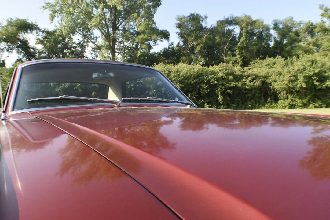 1964 Ford Mustang 1st Gen (1964.5-1966) - Image 25 of 31