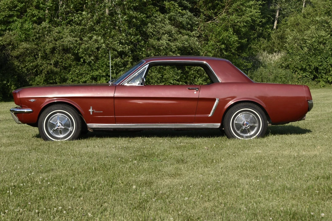 1964 Ford Mustang 1st Gen (1964.5-1966) - Image 5 of 31
