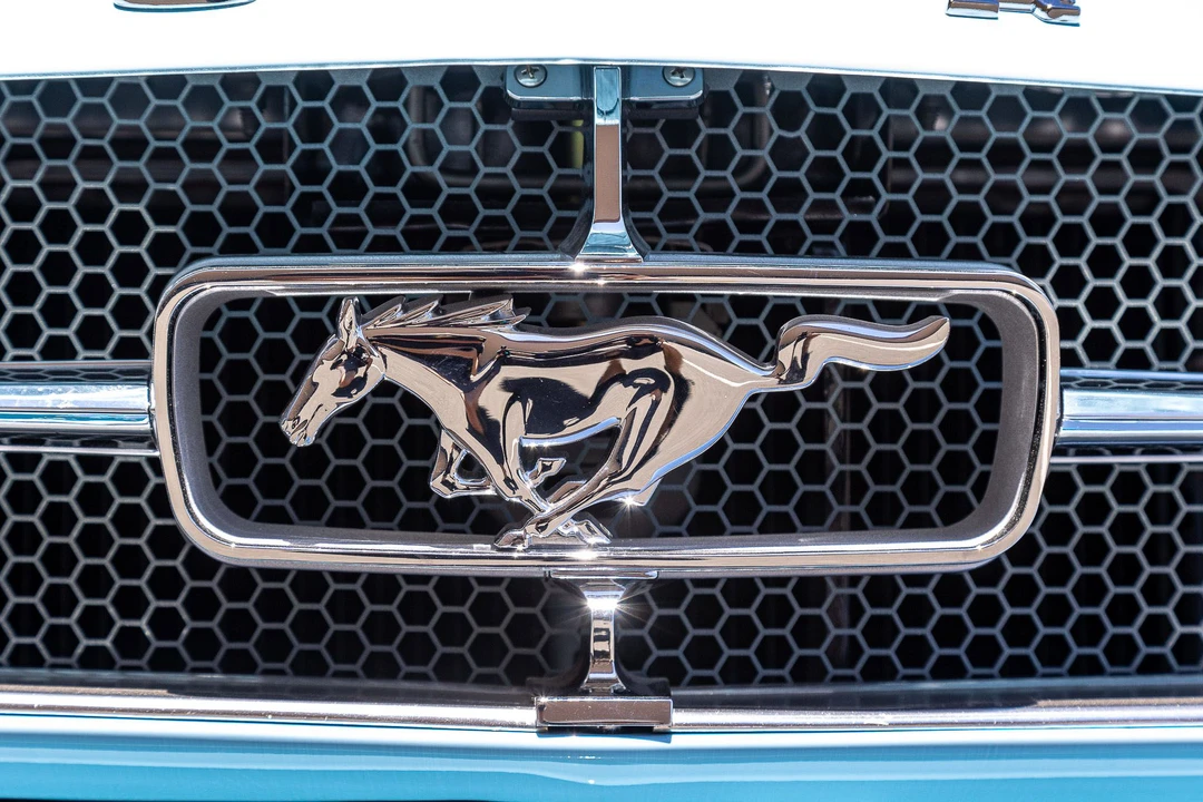 1964 Ford Mustang 1st Gen (1964.5-1966) - Image 17 of 31